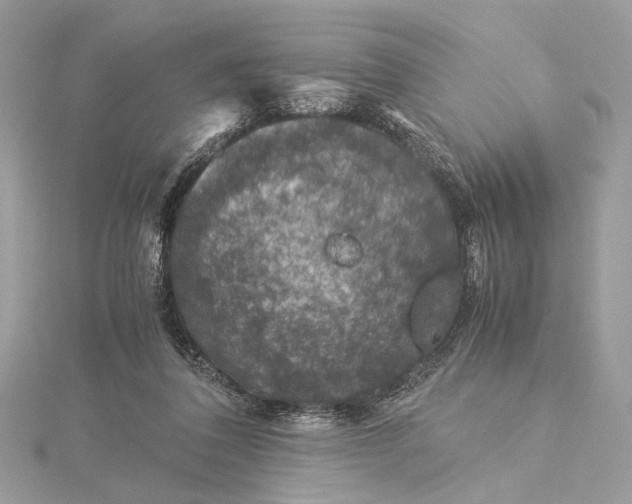 X0000116000308200912031515