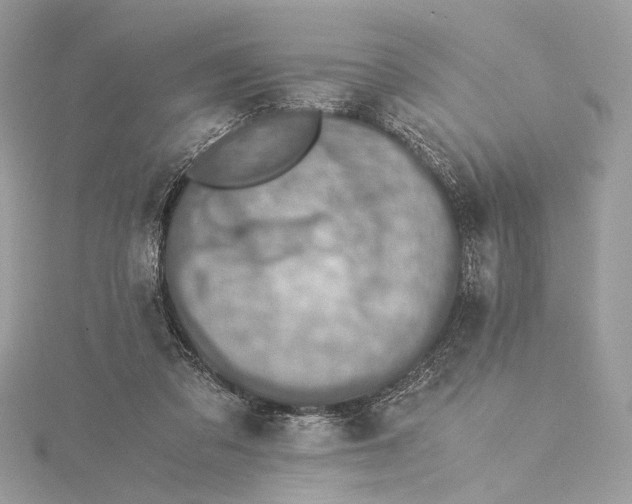 X0000116000309200912031515