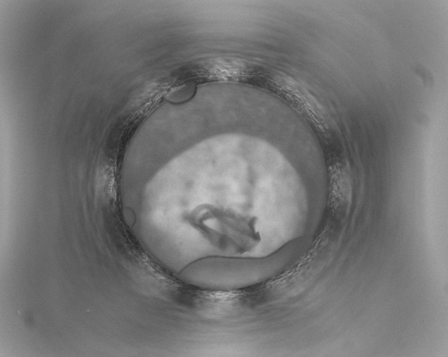 X0000116000313200912031515