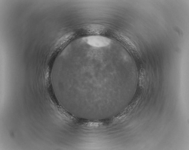 X0000116000314200912031515