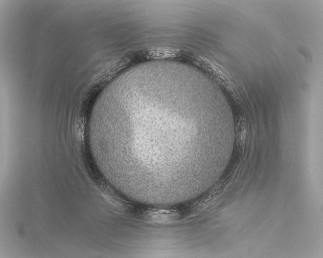 X0000116000315200912031515