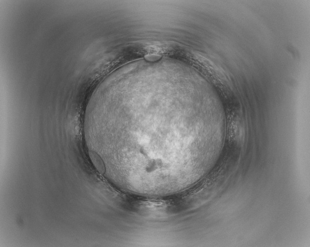 X0000116000317200912031514