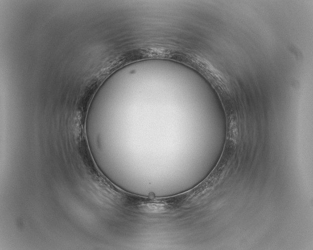 X0000116000318200912031514