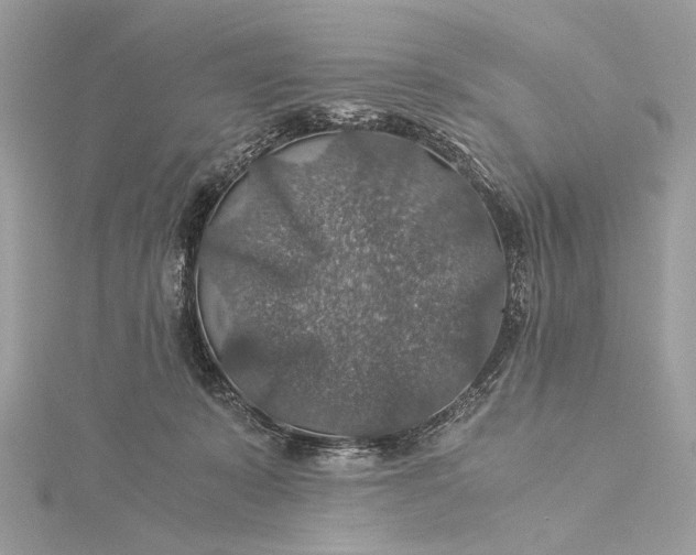 X0000116000319200912031514