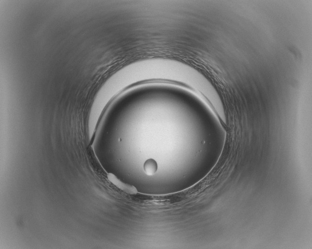 X0000116000320200912031514