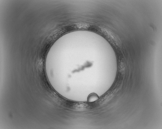 X0000116000321200912031514