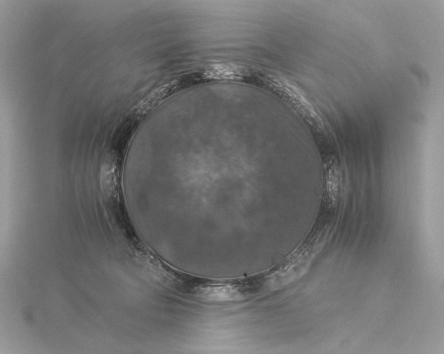 X0000116000322200912031514