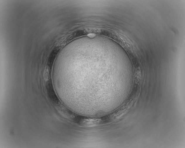 X0000116000323200912031514