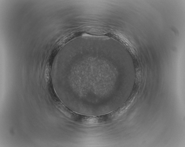 X0000116000325200912031514