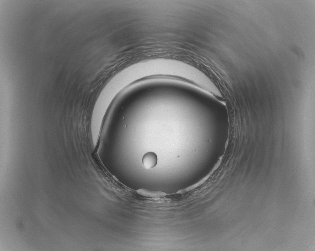 X0000116000328200912031514