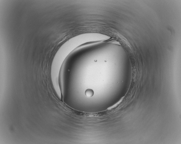 X0000116000329200912031514