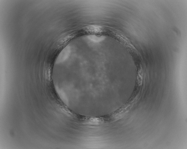 X0000116000330200912031514