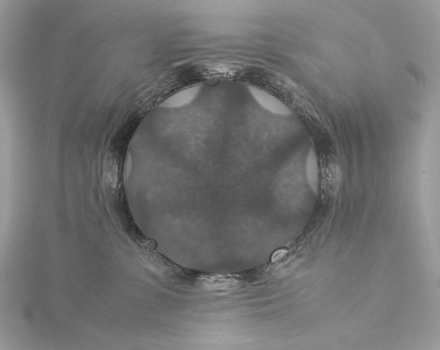 X0000116000331200912031514