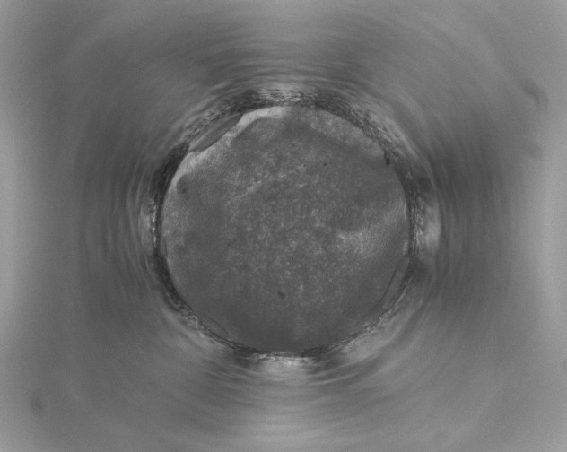 X0000116000332200912031514