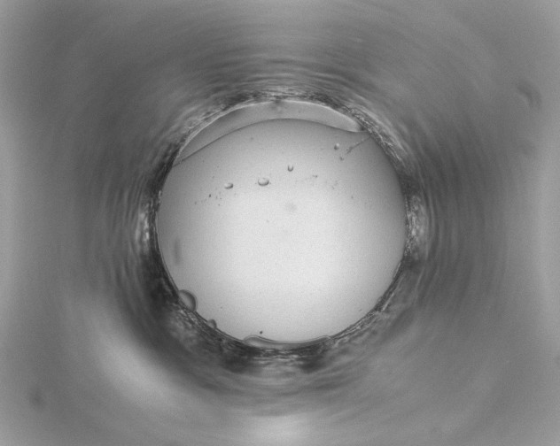 X0000116000333200912031514