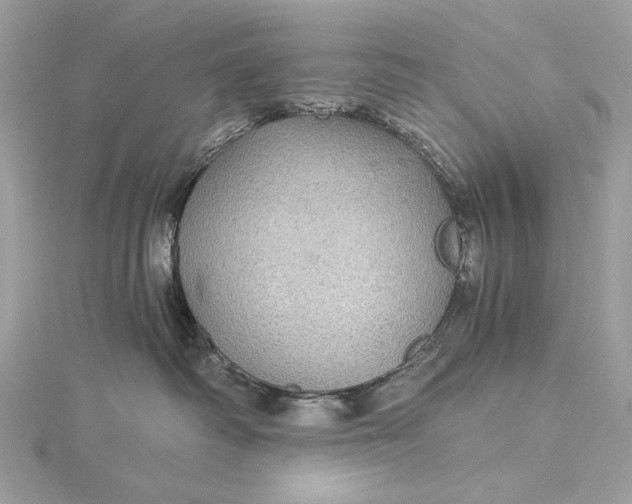 X0000116000334200912031514