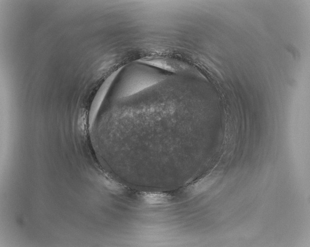 X0000116000336200912031514