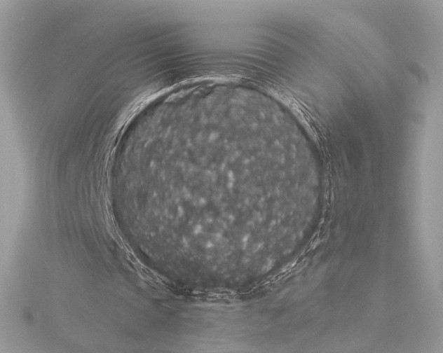 X0000116000337200912031513