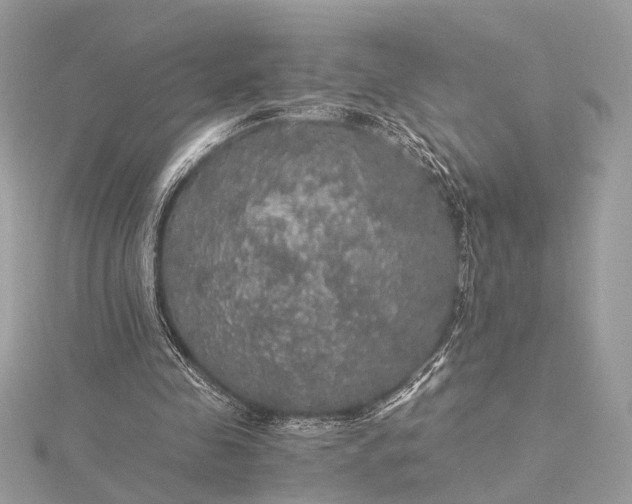 X0000116000341200912031514