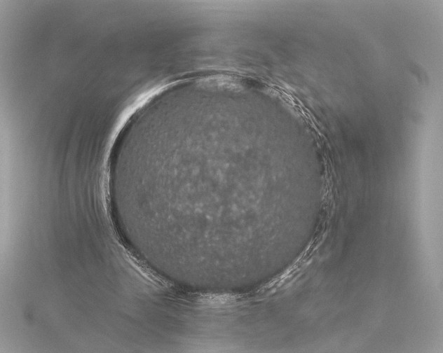 X0000116000342200912031514