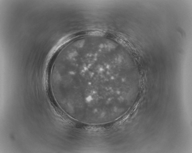 X0000116000343200912031514