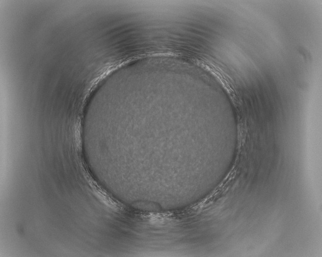 X0000116000345200912031514