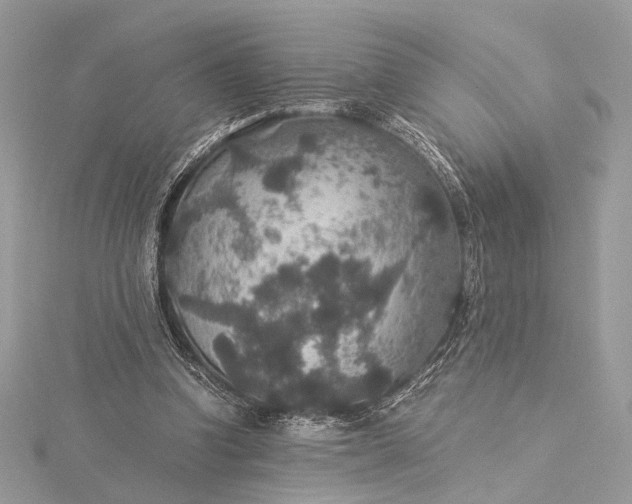 X0000116000346200912031514