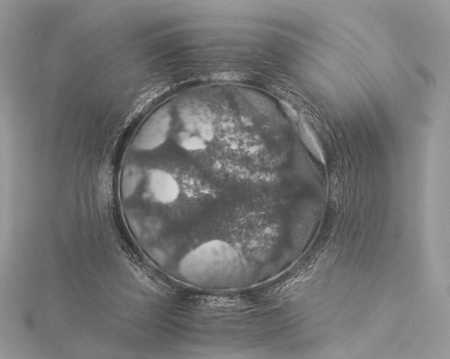 X0000116000347200912031514