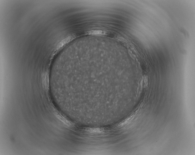 X0000116000349200912031514