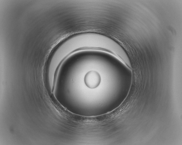 X0000116000350200912031514