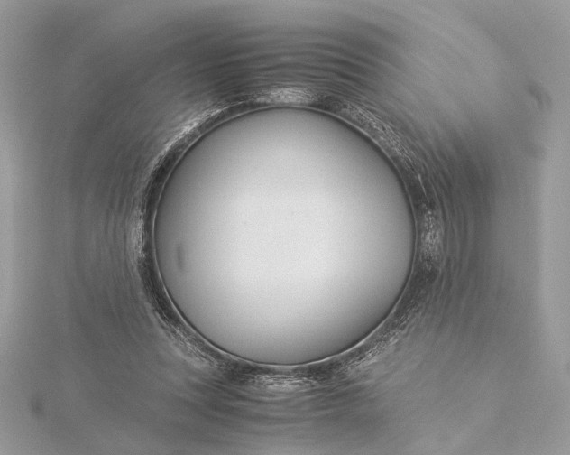 X0000116000351200912031514