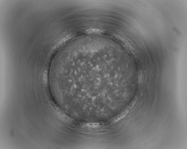 X0000116000353200912031514