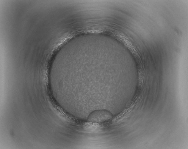 X0000116000354200912031514