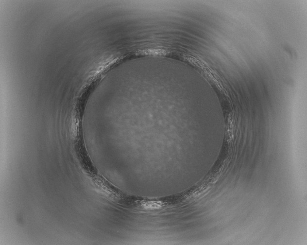 X0000116000355200912031514