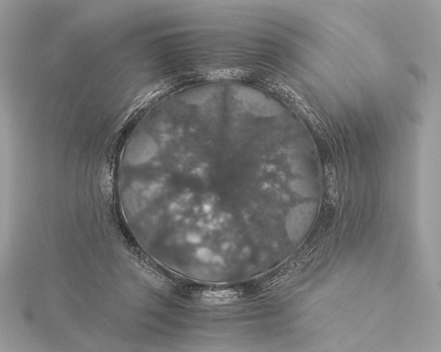 X0000116000357200912031514