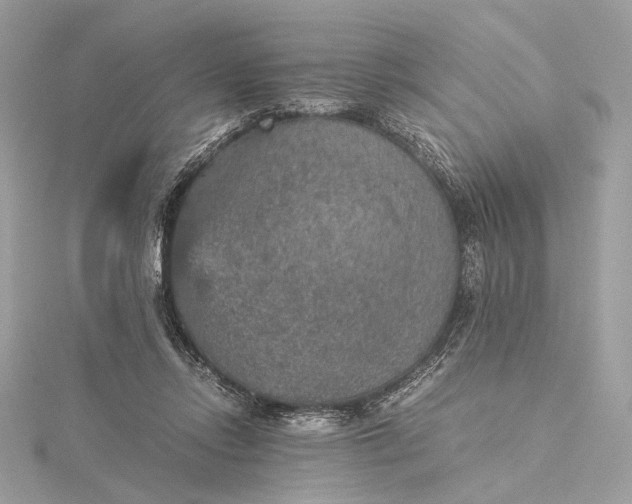 X0000116000358200912031514