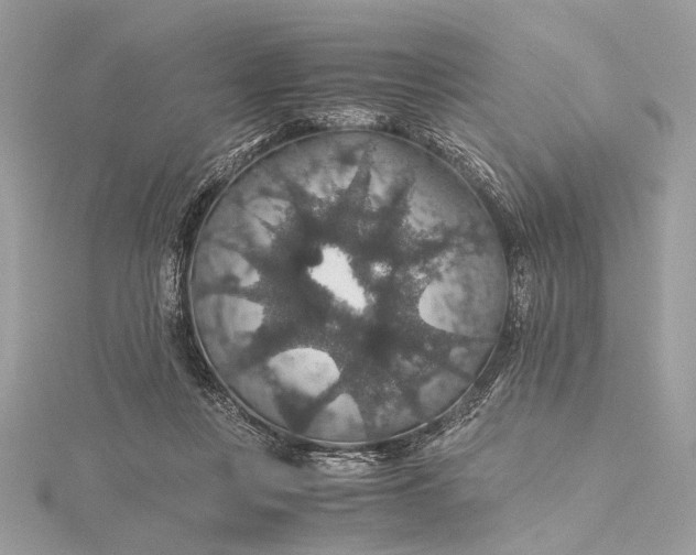 X0000116000359200912031514