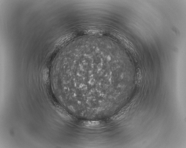 X0000116000361200912031514