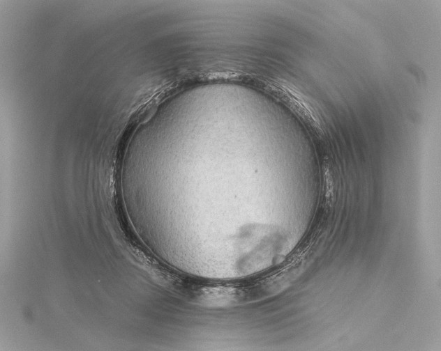 X0000116000362200912031514