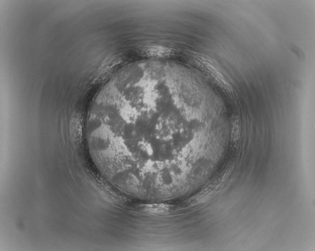 X0000116000363200912031514