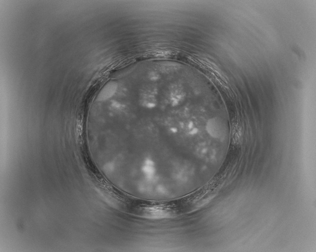 X0000116000365200912031514