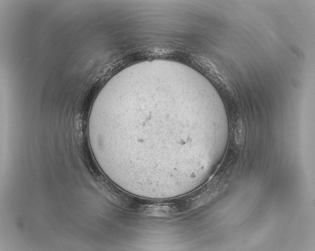 X0000116000366200912031514