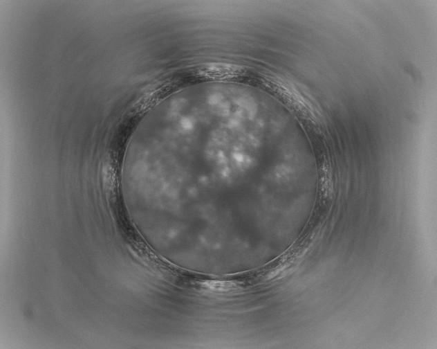 X0000116000371200912031514