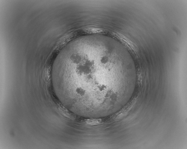 X0000116000373200912031514