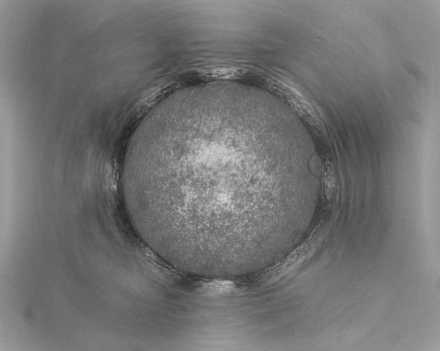 X0000116000374200912031514