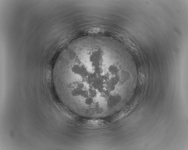 X0000116000375200912031514