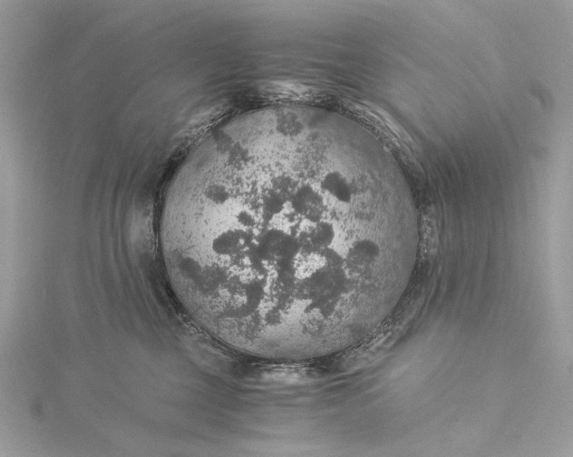 X0000116000377200912031514