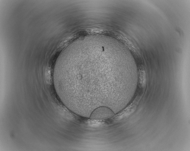 X0000116000378200912031514