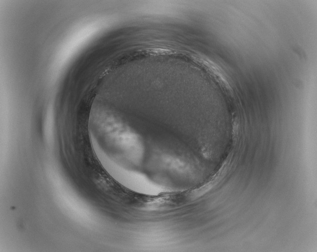 X0000116000382200912031514