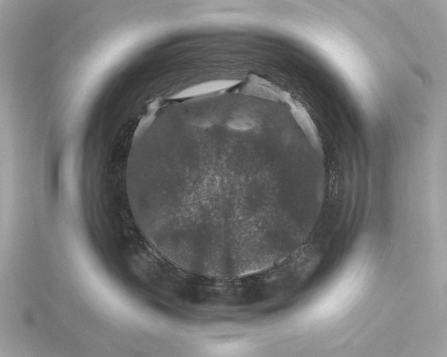 X0000116000383200912031514